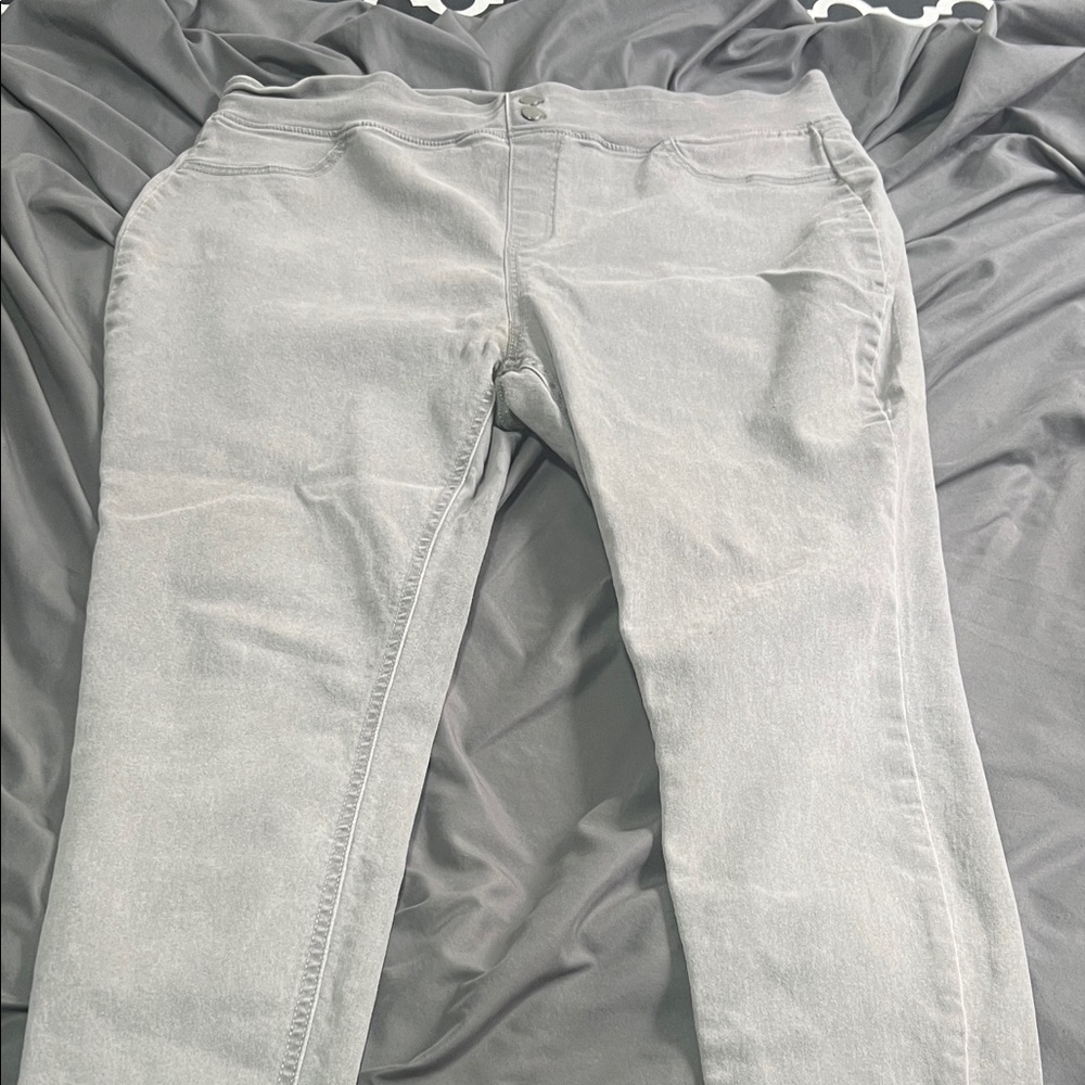 Terra & Sky Soft Gray Skinny Pants
